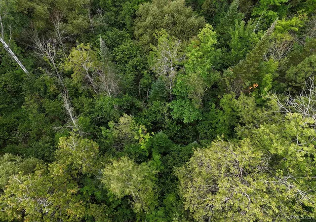 Photo 5 of Land for sale at Tbd 2nd Street, Republic, MI 49879 | MLS# 50218107 | Listing updated on 2026-08-11