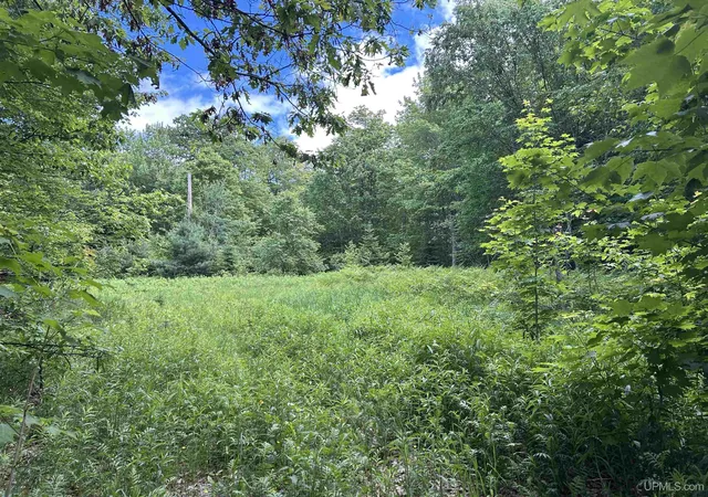 1st image of 391 N Carlshend Rd, Skandia, MI 49885 | MLS# 50212875