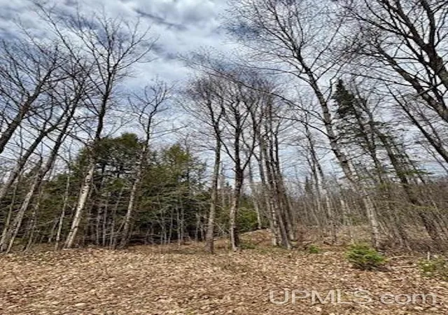 8th image of 391 N Carlshend Rd, Skandia, MI 49885 | MLS# 50212875
