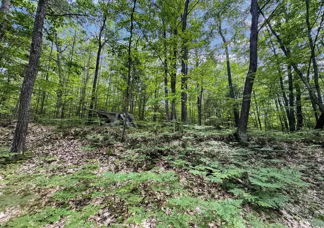 Photo 4 of Land for sale at Parcel A Seeley Rd, Lake City, MI 49651 | MLS# 80069644 | Listing updated on 2026-08-26