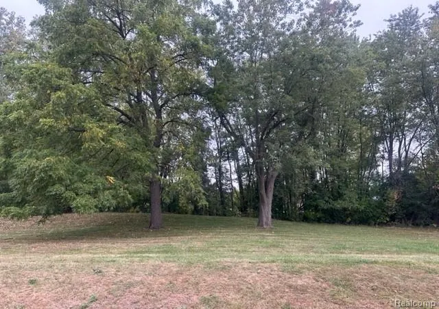 1st image of Lot C Chapin St, Grand Blanc, MI 48507 | MLS# 60939361