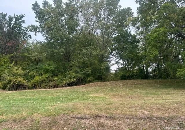 Photo 3 of Land for sale at Lot C Chapin St, Grand Blanc, MI 48507 | MLS# 60939361 | Listing updated on 2025-10-02