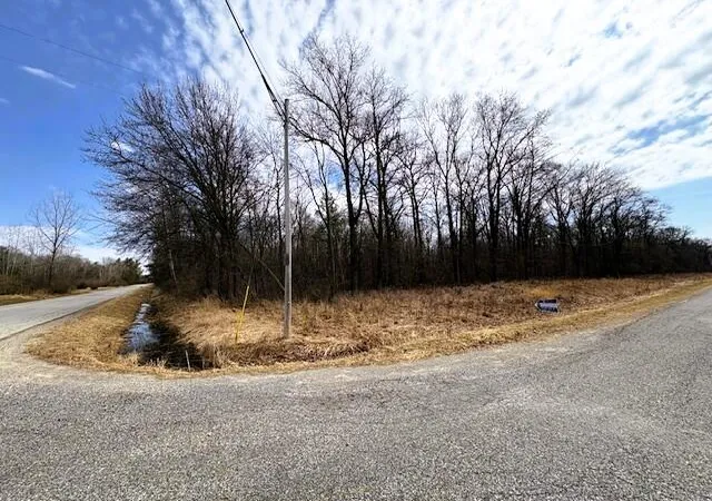 3rd image of W Prairie Rd, Midland, MI 48640 | MLS# 70522222