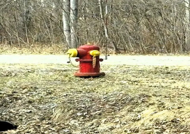 5th image of W Prairie Rd, Midland, MI 48640 | MLS# 70522222