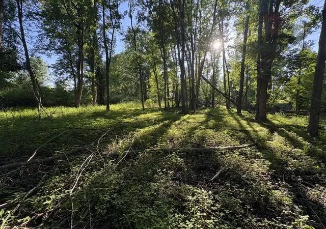 Photo 1 of Sale Pending at V/l Pinch Hwy, Potterville, MI 48876 | MLS# 70536261 | Listing updated on 2026-07-18