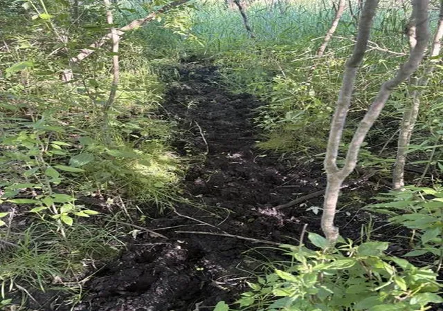 Photo 3 of Sale Pending at V/l Pinch Hwy, Potterville, MI 48876 | MLS# 70536261 | Listing updated on 2026-07-18