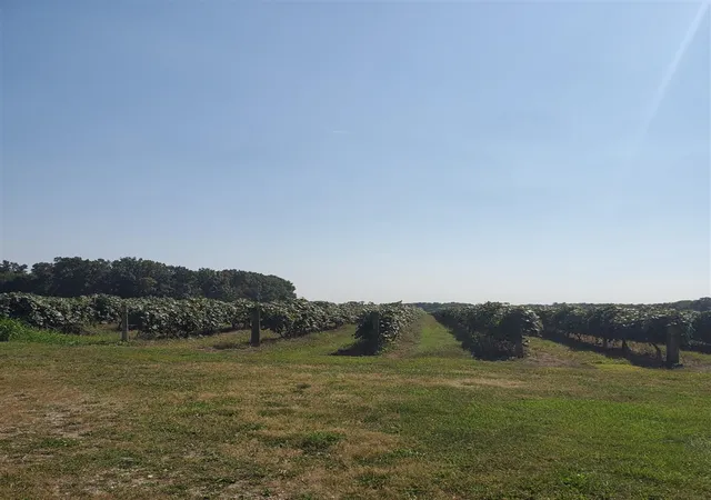 2nd image of Vl County Road 671, Paw Paw, MI 49079 | MLS# 70540703