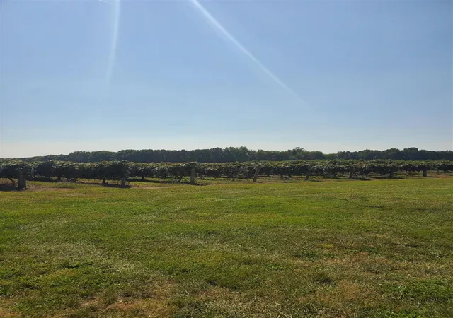 4th image of Vl County Road 671, Paw Paw, MI 49079 | MLS# 70540703
