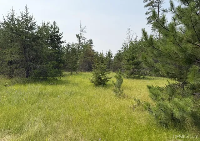 Photo 1 of Land for sale at 361 E M35 Hwy, Gwinn, MI 49841 | MLS# 50198608 | Listing updated on 2026-08-31