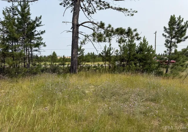 Photo 2 of Land for sale at 361 E M35 Hwy, Gwinn, MI 49841 | MLS# 50198608 | Listing updated on 2026-08-31