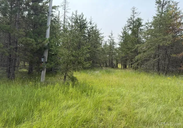 Photo 3 of Land for sale at 361 E M35 Hwy, Gwinn, MI 49841 | MLS# 50198608 | Listing updated on 2026-08-31