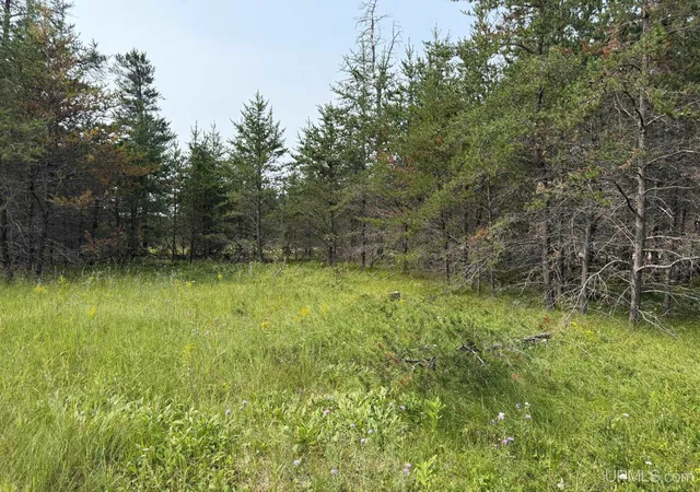 Photo 4 of Land for sale at 361 E M35 Hwy, Gwinn, MI 49841 | MLS# 50198608 | Listing updated on 2026-08-31