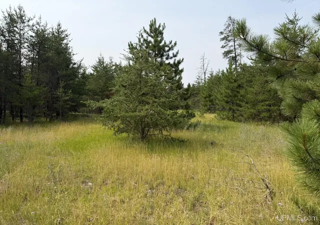 Photo 8 of Land for sale at 361 E M35 Hwy, Gwinn, MI 49841 | MLS# 50198608 | Listing updated on 2026-08-31