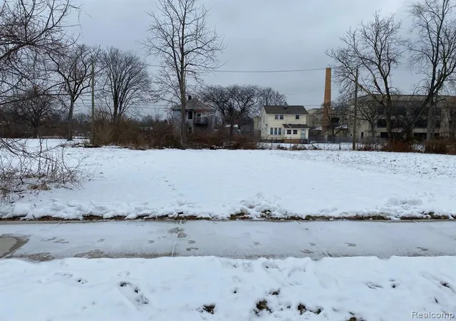 1st image of 398 Louise St, Highland Park, MI 48203 | MLS# 60962057