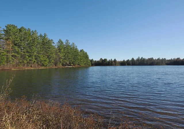 Homes for sale in Seney, MI | 6035 W Sadlers Loop, Seney, MI 49883 | MLS# 50212329