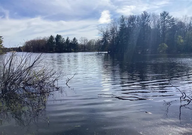 Photo 4 of Land for sale at 8005 W Juniper Beach Rd, Mears, MI 49436 | MLS# 70547210 | Listing updated on 2026-07-22