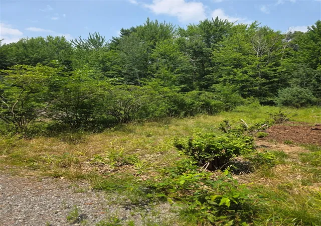 Photo 4 of Land for sale at 0 Taft St, Fruitport, MI 49415 | MLS# 70546773 | Listing updated on 2026-09-03