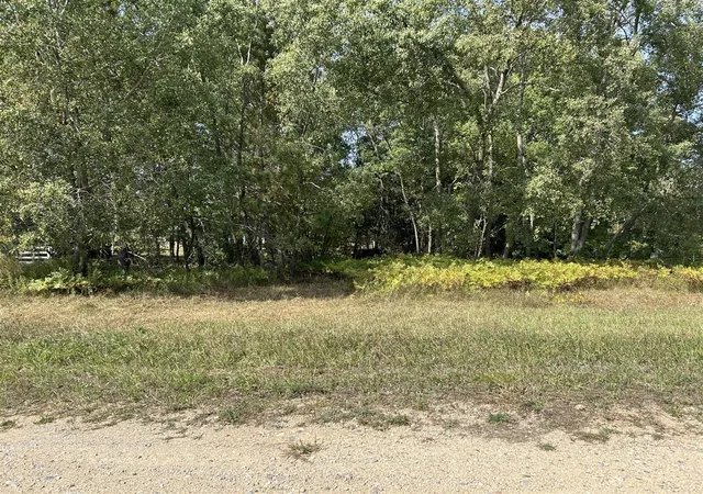 Photo 1 of Land for sale at 8730 125th Avenue, Stanwood, MI 49346 | MLS# 70432827 | Listing updated on 2026-04-07