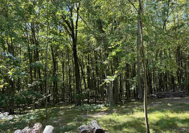 Homes for sale in Farwell, MI | 5682 Maple Dr, Farwell, MI 48622 | MLS# 50201741