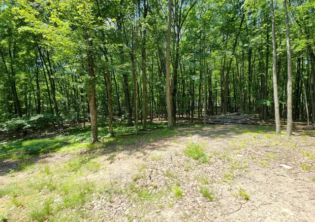 Homes for sale in Farwell, MI | 5682 Maple Dr, Farwell, MI 48622 | MLS# 50201741