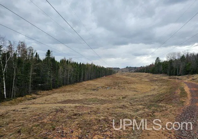 Homes for sale in Ishpeming, MI | 120 Acres Off Co Rd Gx Rd, Ishpeming, MI 49849 | MLS# 50214874