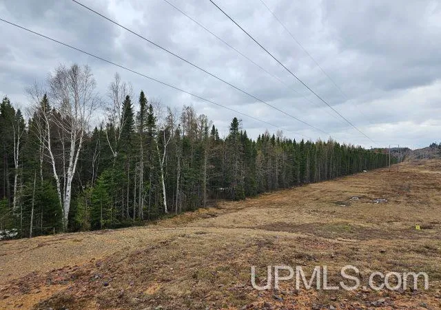 Homes for sale in Ishpeming, MI | 120 Acres Off Co Rd Gx Rd, Ishpeming, MI 49849 | MLS# 50214874