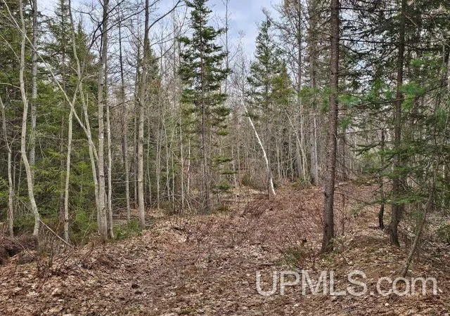 Homes for sale in Ishpeming, MI | 120 Acres Off Co Rd Gx Rd, Ishpeming, MI 49849 | MLS# 50214874
