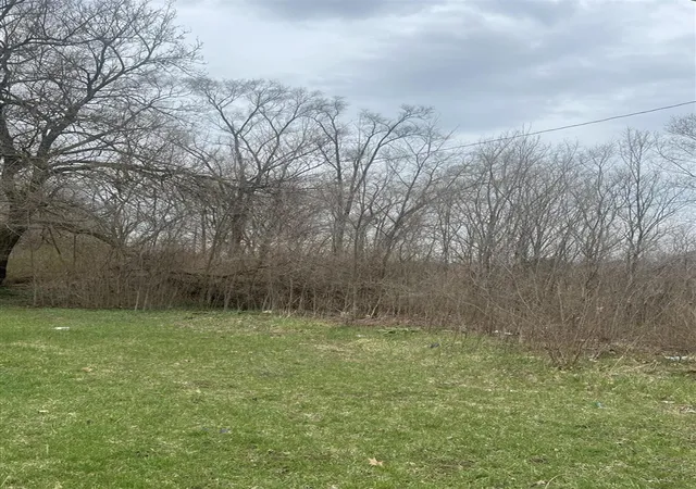 Photo 3 of Land for sale at 1096 N Euclid Ave, Benton Harbor, MI 49022 | MLS# 70523964 | Listing updated on 2026-04-11