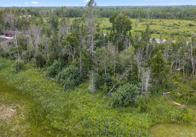 Photo 3 of Land for sale at Tbd S State Hwy M35 Rd, Bark River, MI 49807 | MLS# 50217398 | Listing updated on 2026-08-05