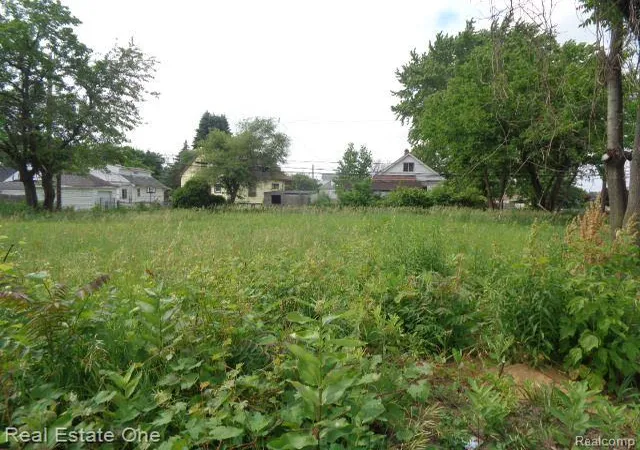 Homes for sale in Hamtramck, MI | 5201 Casmere St, Hamtramck, MI 48212 | MLS# 60313480