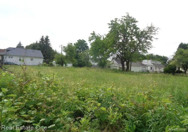 Homes for sale in Hamtramck, MI | 5201 Casmere St, Hamtramck, MI 48212 | MLS# 60313480