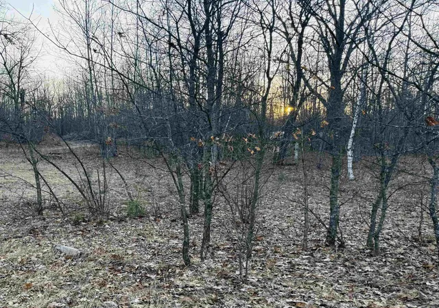 Photo 4 of Land for sale at 2730 S Clare Ave, Clare, MI 48617 | MLS# 50203735 | Listing updated on 2026-04-11