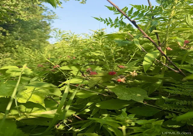 Photo 5 of Land for sale at Tbd32 Skanee Rd, L'anse, MI 49946 | MLS# 50216004 | Listing updated on 2026-08-26