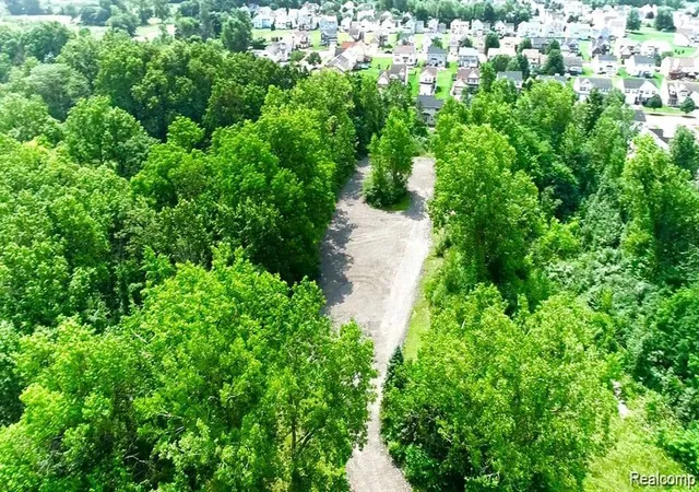 Photo 3 of Land for sale at 0 Ecorse Rd, Romulus, MI 48174 | MLS# 60929805 | Listing updated on 2026-05-25