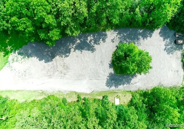 Photo 4 of Land for sale at 0 Ecorse Rd, Romulus, MI 48174 | MLS# 60929805 | Listing updated on 2026-05-25