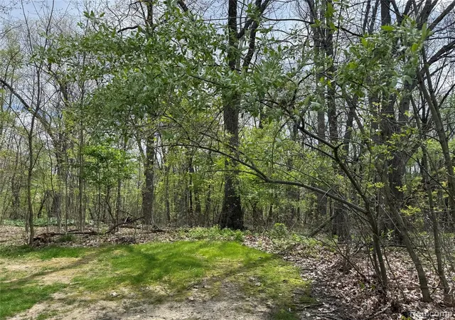 Photo 2 of Land for sale at Lot 25 Hidden Ridge Trl, Fenton, MI 48430 | MLS# 60990723 | Listing updated on 2026-07-07
