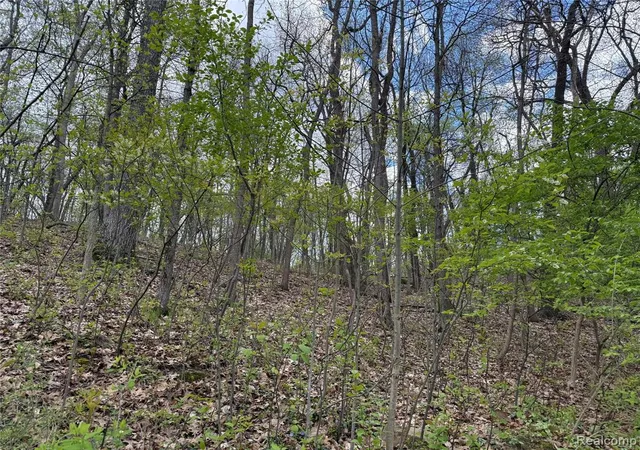 Photo 3 of Land for sale at Lot 25 Hidden Ridge Trl, Fenton, MI 48430 | MLS# 60990723 | Listing updated on 2026-07-07