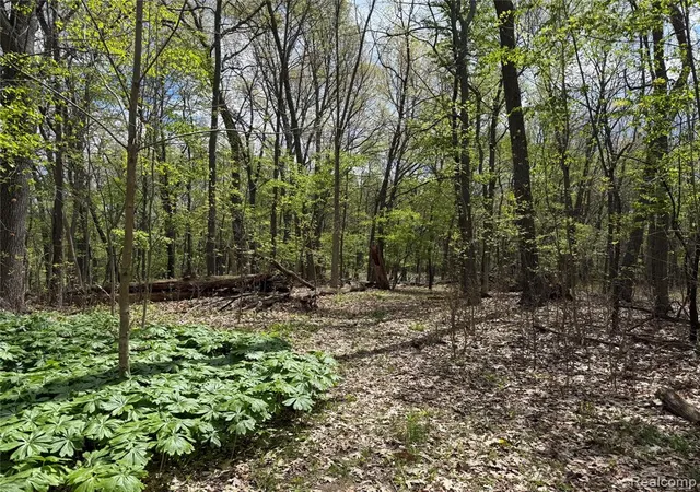 Photo 4 of Land for sale at Lot 25 Hidden Ridge Trl, Fenton, MI 48430 | MLS# 60990723 | Listing updated on 2026-07-07