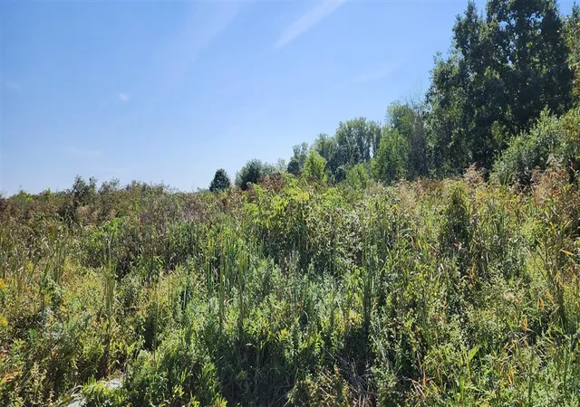 Photo 3 of Land for sale at 00000 N Shore Dr, Edwardsburg, MI 49112 | MLS# 70464222 | Listing updated on 2026-08-24
