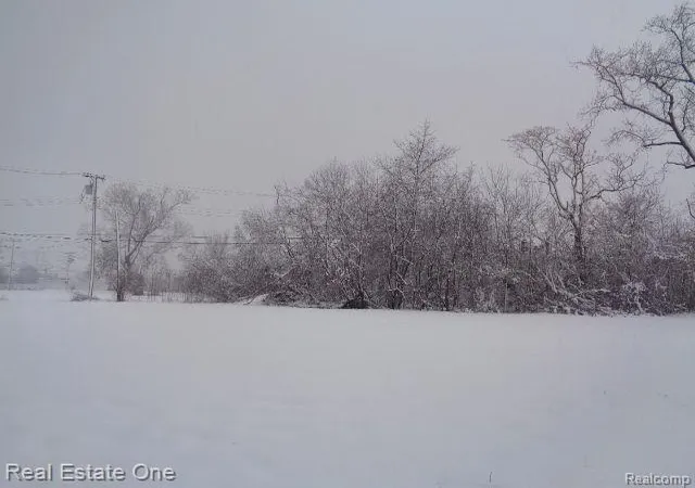 Photo 1 of Land for sale at 1043 Canton St, Detroit, MI 48207 | MLS# 60188642 | Listing updated on 2026-01-21