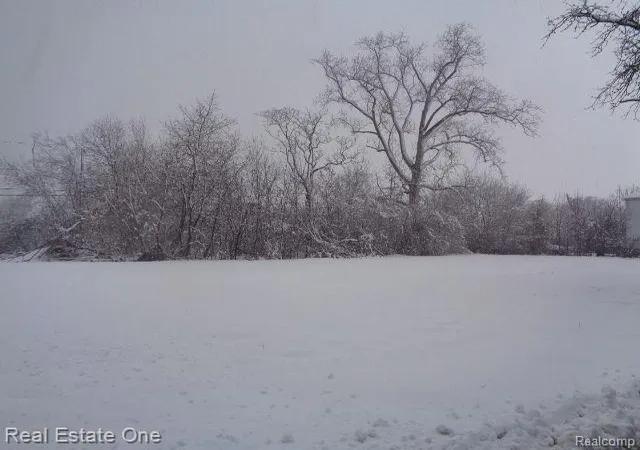 Photo 2 of Land for sale at 1043 Canton St, Detroit, MI 48207 | MLS# 60188642 | Listing updated on 2026-01-21