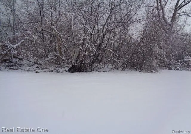 Photo 3 of Land for sale at 1043 Canton St, Detroit, MI 48207 | MLS# 60188642 | Listing updated on 2026-01-21