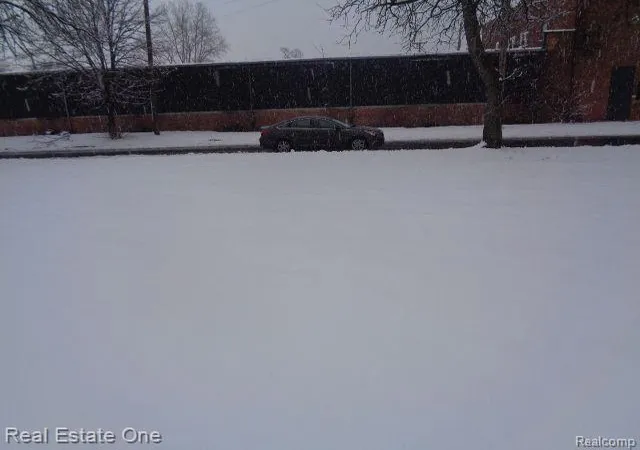 Photo 3 of Land for sale at 1043 Canton St, Detroit, MI 48207 | MLS# 60188642 | Listing updated on 2026-01-21