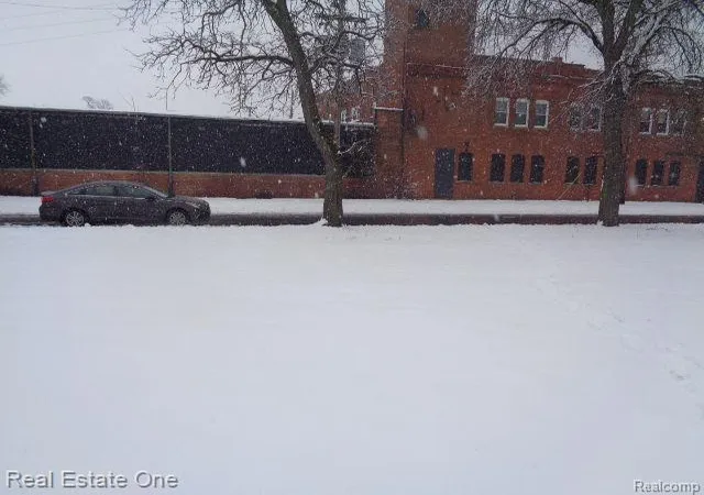 Photo 4 of Land for sale at 1043 Canton St, Detroit, MI 48207 | MLS# 60188642 | Listing updated on 2026-01-21