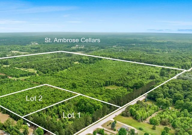 Homes for sale in Benzonia, MI | Parcels 1 & 2 Maple, Benzonia, MI 49616 | MLS# 80070705