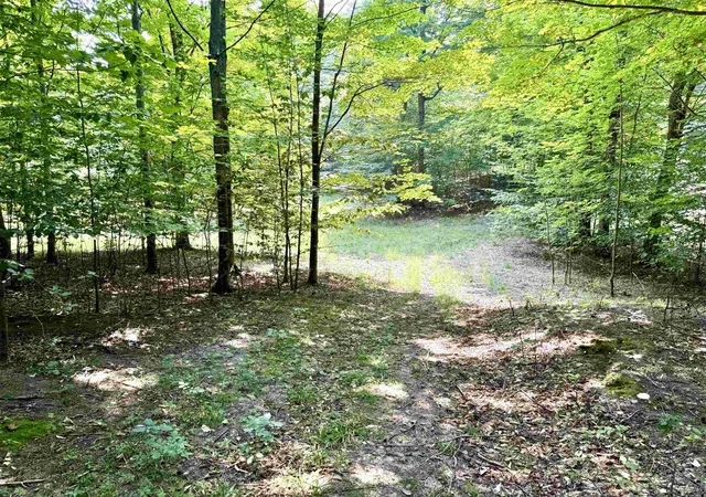 Land for sale at 0015 S Mistys Trl, Empire, MI 49630 | MLS# 80060331 | Listing updated on 2025-11-01