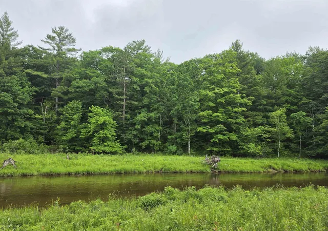 Photo 2 of Land for sale at Tbd N Lakeshore Dr, Gladwin, MI 48624 | MLS# 50212641 | Listing updated on 2026-07-25
