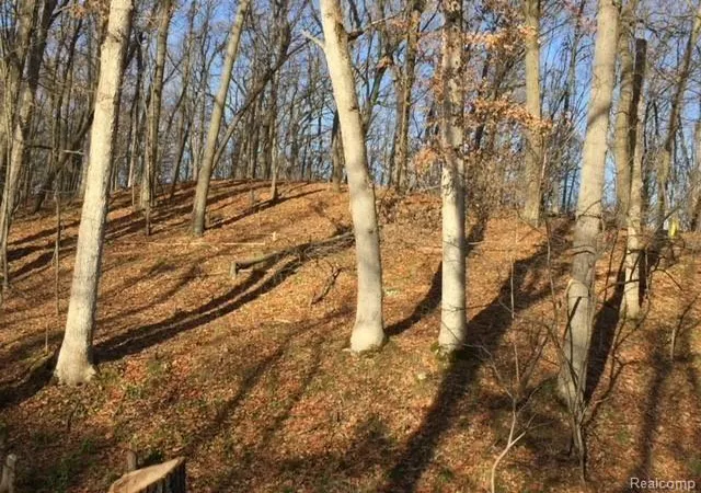 4th image of 0000 Silverbell, Rochester, MI 48306 | MLS# 61004761