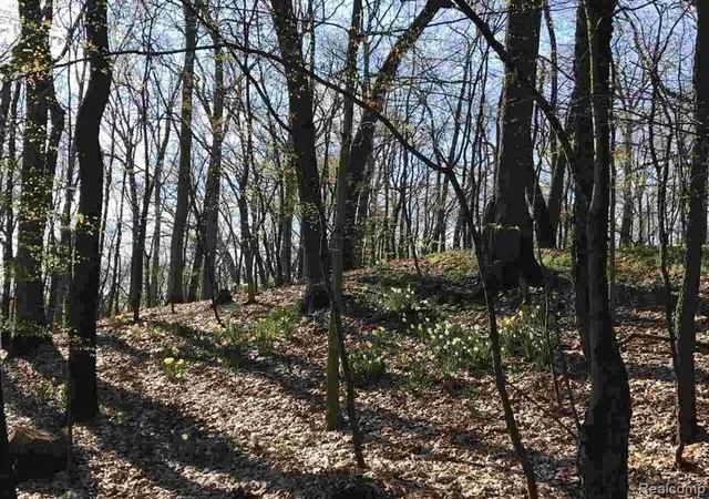5th image of 0000 Silverbell, Rochester, MI 48306 | MLS# 61004761