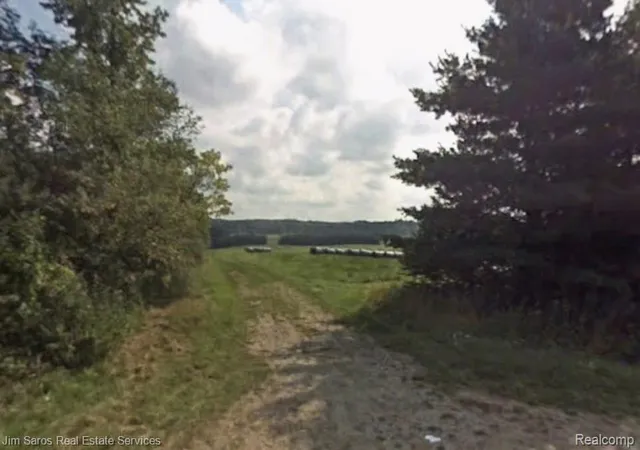 13th image of 4771 E County Line Rd, South Branch, MI 48761 | MLS# 60985906